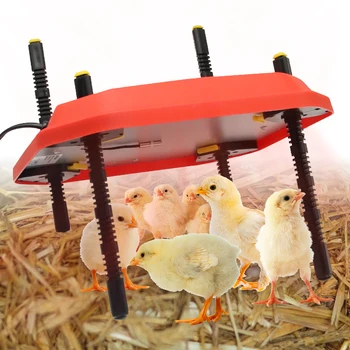 Электрический инкубатор для обогрева цыплят с регулируемой температурой и регулятором температуры по высоте Инкубатор